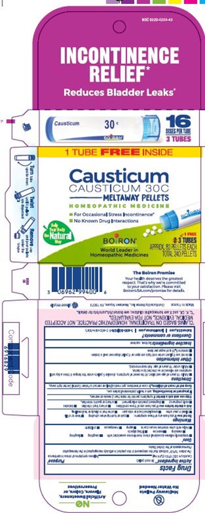 Causticum 30c Bcp 6916829 02.2022